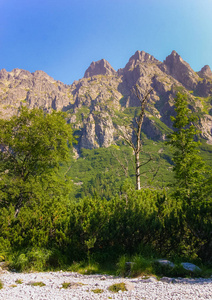 美丽的山景观塔特拉斯洛伐克