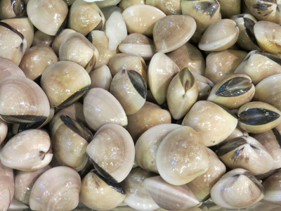 海鲜市场上的贝类