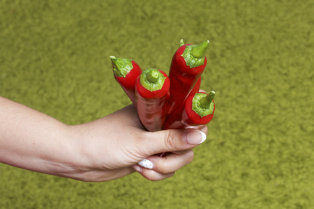 红色多汁的红干椒在一个女人的手中。浅绿色背景上