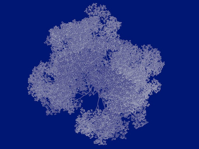 3d 渲染的空心树蓝图上孤立的蓝色背