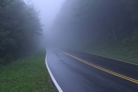 美国黑暗森林中的迷雾之路图片