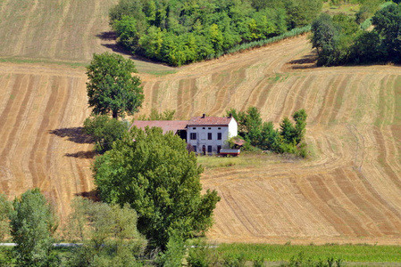 乡村景观。Monferrato，意大利皮埃蒙特