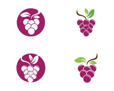 串红酒葡萄与叶为食品应用程序和网站的图标