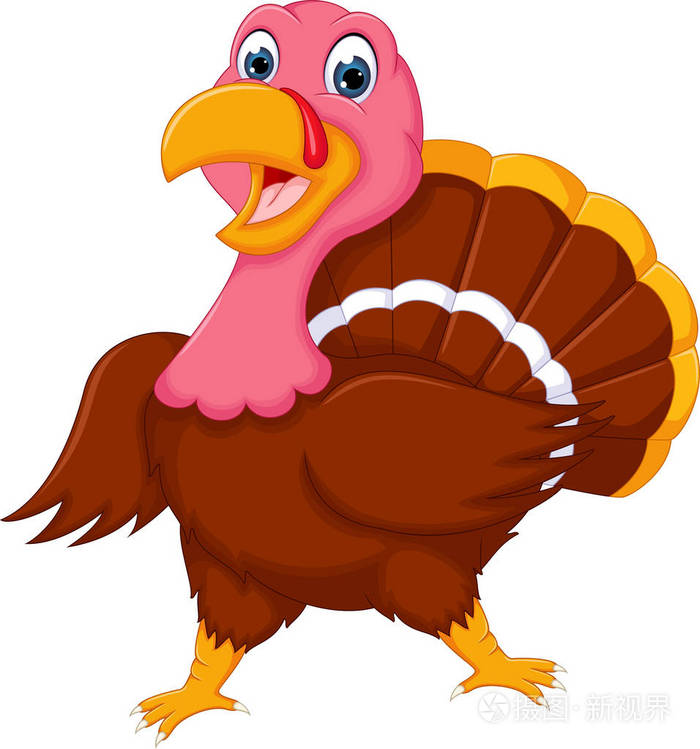 turkeycartoon,cartoonnetwork 有趣的土耳其卡通,在摆姿势