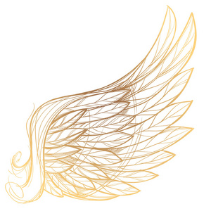 金色的翅膀的插图