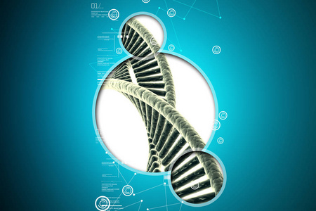 人类 Dna 链的数字插图