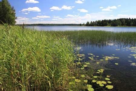 伟大的俄罗斯湖和景观，从夏天