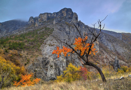 美丽的风景，在山中