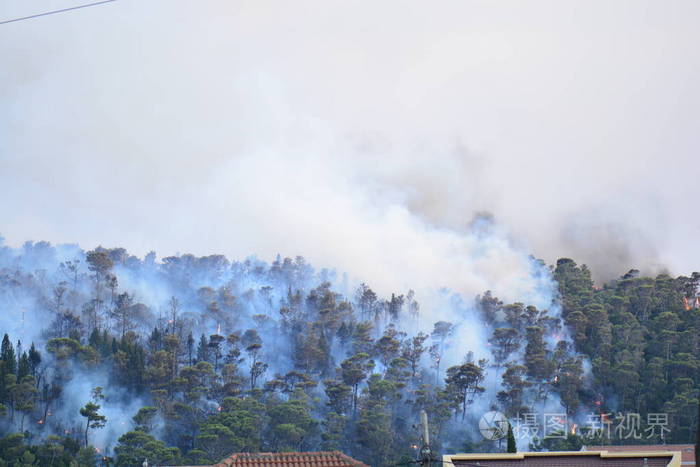 森林火灾.被烧毁的树木后野火, 污染和大量的烟
