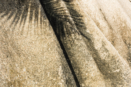塞舌尔巨石细节