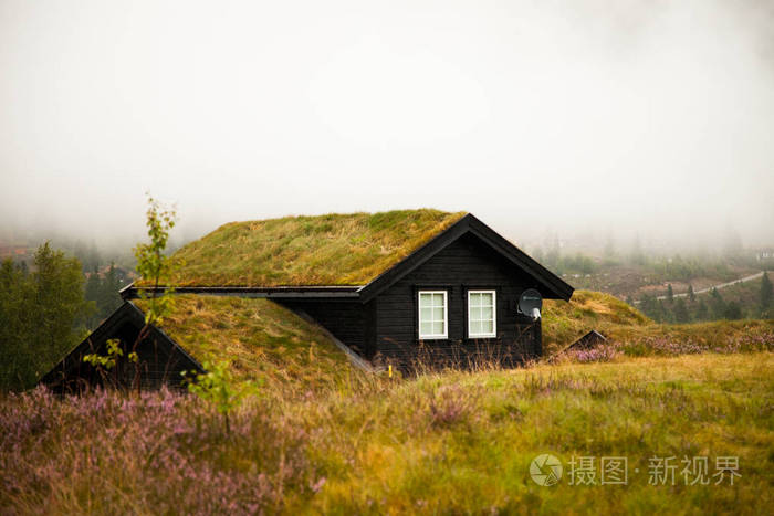 传统的挪威木屋里站在草坪和山在背景上典型的挪威的房子典型的挪威