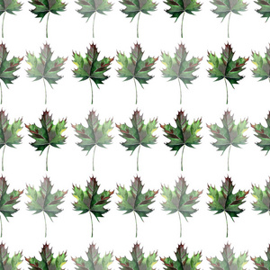 美丽可爱图形艺术抽象明亮花卉草药秋季绿色枫叶水平模式水彩手绘。完美的纺织 壁纸 包装纸 卡片 请柬