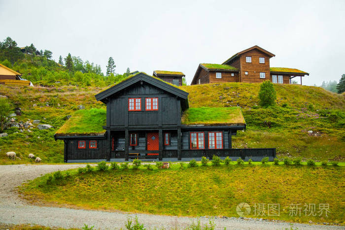 传统的挪威木屋里站在草坪和山在背景上典型的挪威的房子典型的挪威