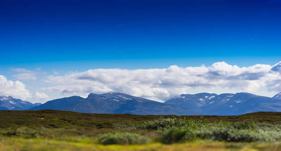 在平原上的挪威山风景背景