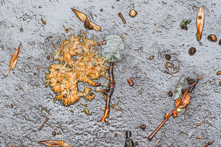 雨后的秋天印象