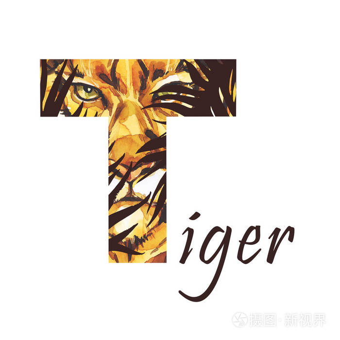 大写字母t的水彩老虎在丛林中在白色的背景上绘制的孤立手非洲的动物