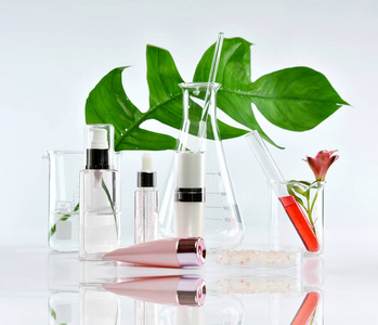 化妆品瓶容器用草药绿叶和科学的玻璃器皿 空白标签包装品牌实体模型，研究和开发天然有机美容护肤产品概念