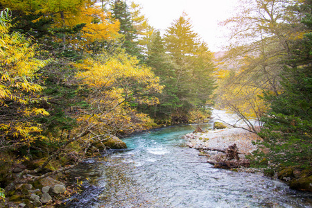 日本松本上高地秋风 秋季 自然场景