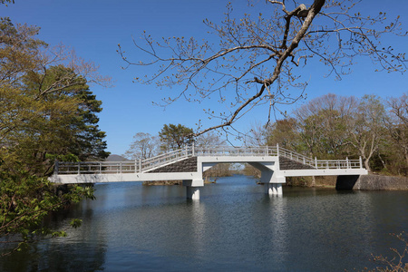 在大沼民族公园北海道湖