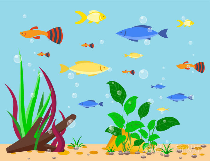透明水族馆海洋水生背景矢量插图栖所水箱房子水下的鱼藻类植物