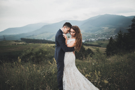 年轻新婚夫妻，新娘和新郎接吻 拥抱完美观的山，蓝色的天空
