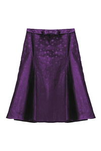 孤立的紫色裙子