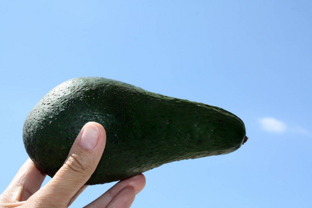 大新鲜鳄梨在手