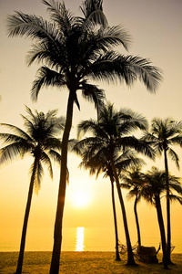在日落沙滩上的棕榈树