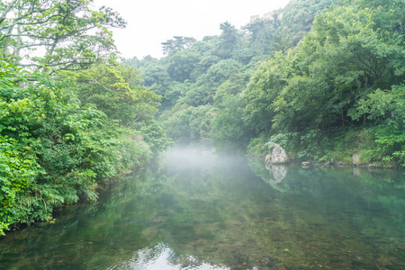 在济州岛天地渊瀑布公园花园图片