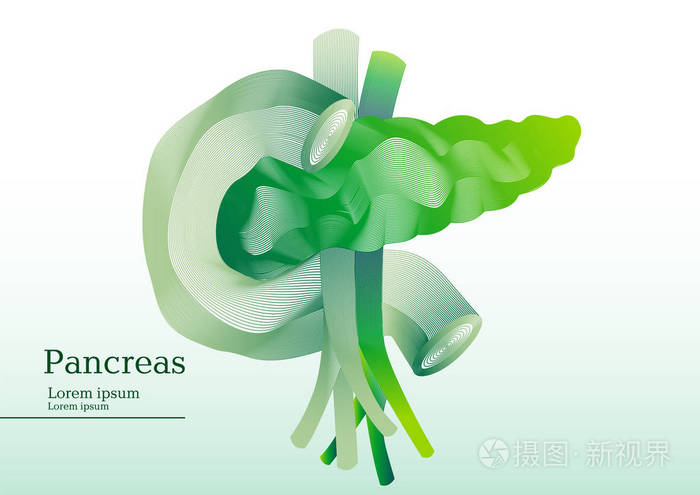 抽象的胰腺的绿色插图