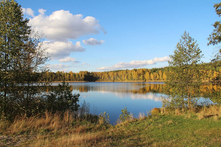 在阳光明媚的日子里, 湖在一个令人愉快的秋林。俄罗斯