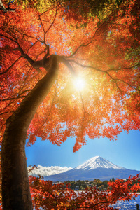 秋天的颜色，日本的富士山