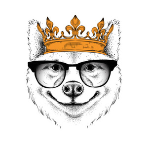 手绘图像肖像的秋田犬狗王冠上。用于打印 海报 t 恤。手画矢量图