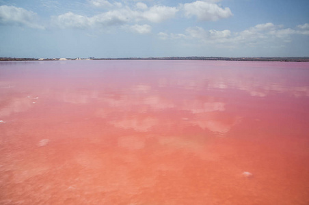粉红色的咸湖和蓝天。 西班牙托雷维亚