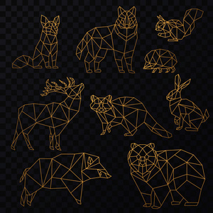 低聚 cgolden 线动物组。折纸 poligonal 金线动物。狼熊 鹿 野猪 狐狸 浣熊 兔子和刺猬的透明性背景