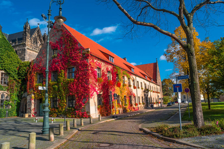 瑰丽多彩大教堂的马格德堡在秋天，德国