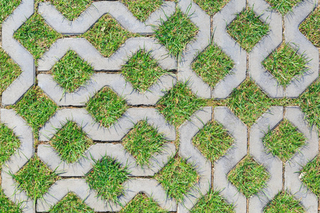 绿草的砖块作为背景或纹理元素之间