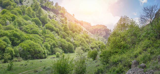 公路穿境而过一个美丽的山间峡谷覆盖着绿色植被和树木。全景图像