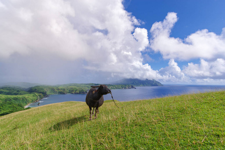 巴坦岛 巴坦群岛的小山