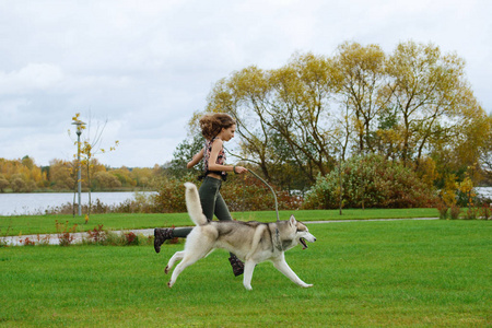 女孩和在城市公园的赫斯基狗玩。慢跑与狗