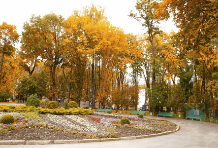 美丽的风景和秋天的元素与大自然的照片微型库存