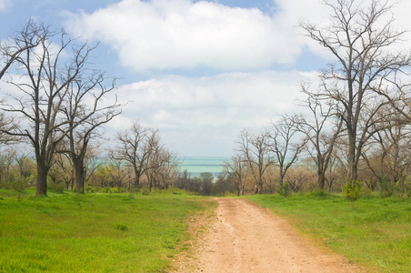 穿过公园的路, 看风景