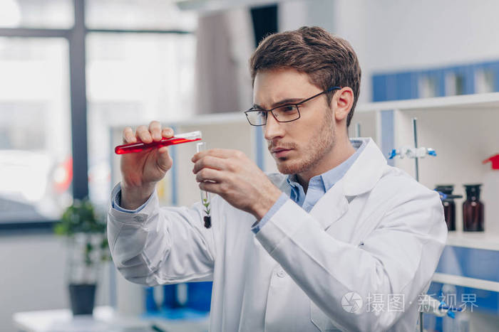 化学家在生物实验室工作照片-正版商用图片0zhyof-摄图新视界