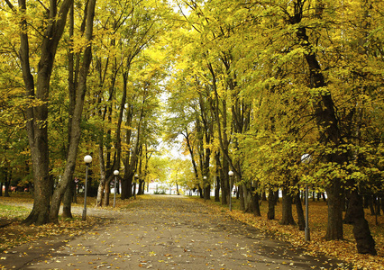 美丽的风景和秋天的元素与大自然的照片微型库存