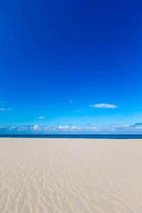 美丽的海景