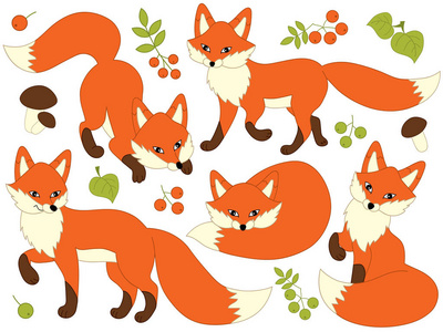 向量集的可爱的卡通狐狸