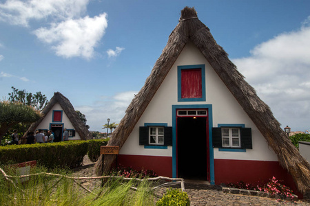 葡萄牙马德拉岛的典型乌