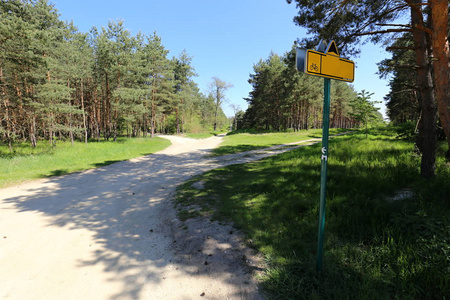 松树林三条沙质小路的交叉道路