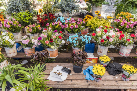 在街边市场上出售的观赏花卉