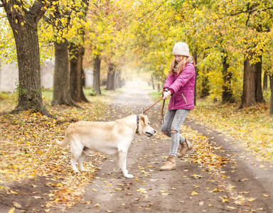 女孩与她的狗在秋天的公园散步时